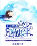 1号傲妻:宫少,别硬来 苏小凝