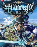 异位面冠位宝具之主123