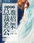绝宠娇妻:总裁老公难招架