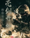 特种兵从亮剑开始崛起方平