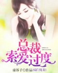 豪门宠妻总裁索爱过度小说