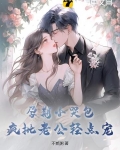 孕期小哭包,疯批老公轻点宠小说免费阅读