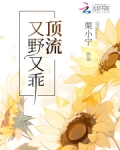顶流他又强又傻