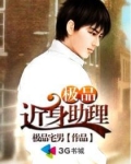 极品助理王阳txt