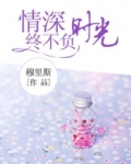 情深终不负时光免费阅读