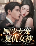 顾少宠妻 小说