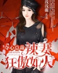 夺心总裁:辣妻狂傲如火 小说