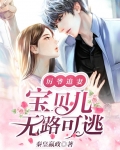厉爷追妻,宝贝儿无路可逃