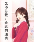 乞丐总裁是哪部电视剧