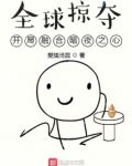 全球掠夺游戏