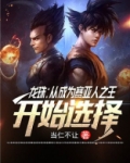 龙珠：从成为赛亚人之王开始选择