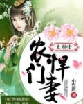 农门悍妻太嚣张小说全文免费阅读