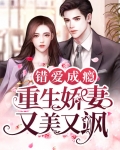 错爱成婚全文免费阅读全文
