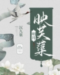 明月映芙蕖