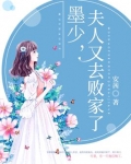 墨少,夫人又去败家了免费阅读