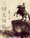 三国之银狐147