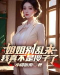 姐姐别怪我小说