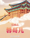 红楼之容情黛玉