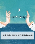 宠妻上瘾：残疾大佬的爱妻难舍难离