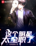 这个明星太全职了小说