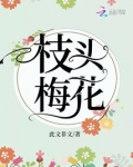 枝头梅花图片