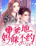 萌宝来袭：爹地，妈咪不约