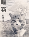 喵霸小说免费阅读