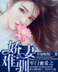 军门密爱之娇妻难驯有没有误会
