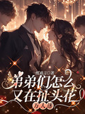 弟弟们怎么又在扯头花txt