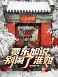 四合院之凡人贾东旭免费阅读