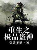 重生之最强盗神